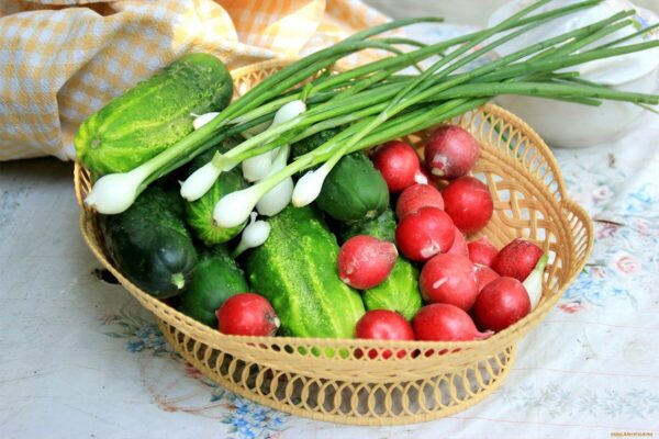Правила выращивания ранних овощей